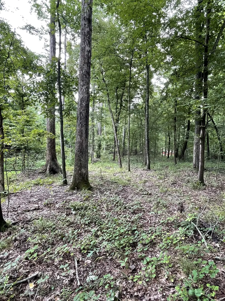 0 Brownfield Rd, Dover, TN 37058 - #2