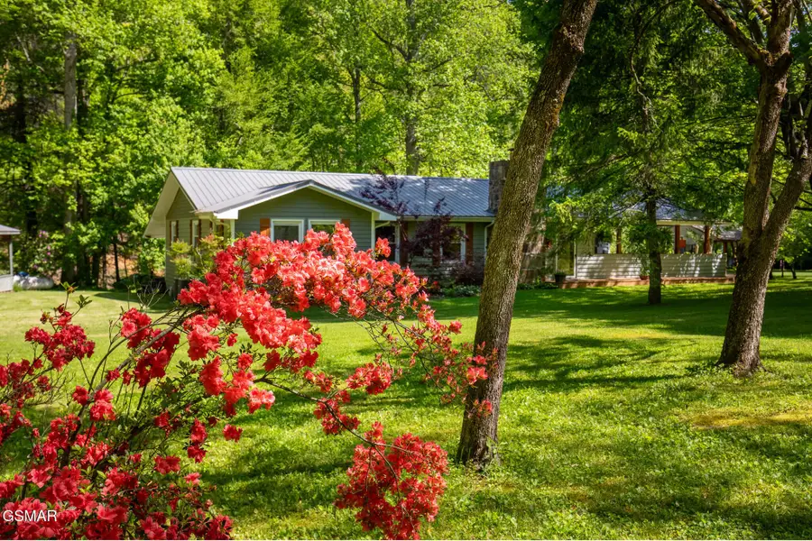 4527 E Scenic Drive, Gatlinburg, TN 37738 - #3
