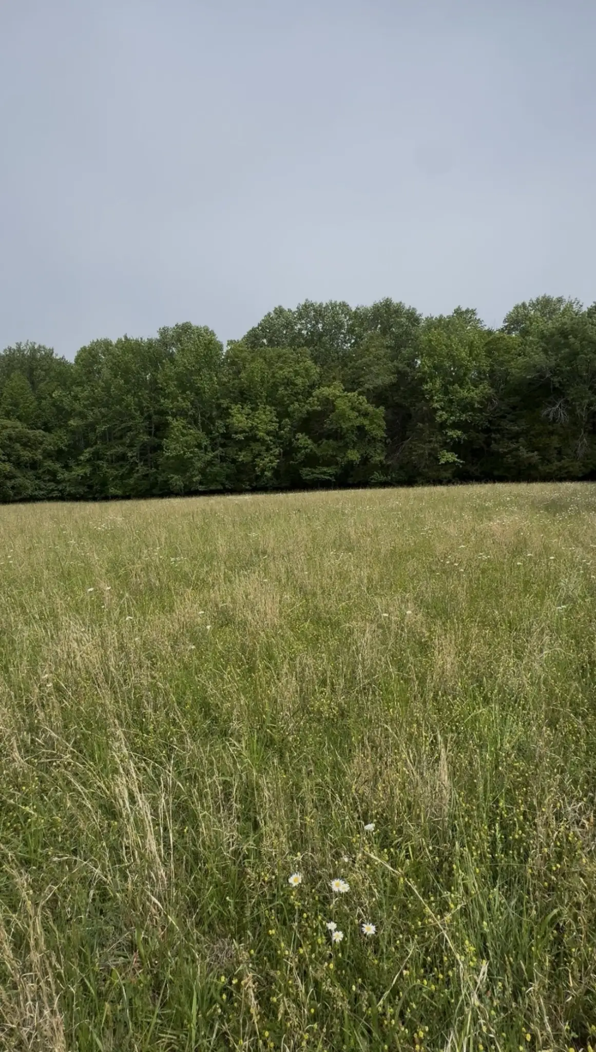 0 Riverview Road, Mount Juliet, TN 37122 - #1