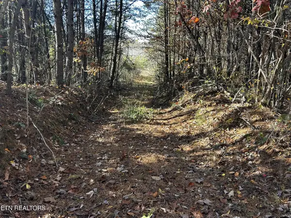 0 Shaddon Road Lot 2, Tellico Plains, TN 37385