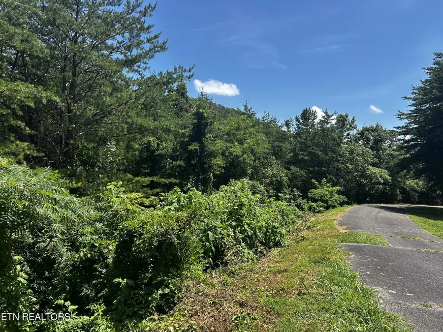 0 Highlands Bluff Rd, Tellico Plains, TN 37385 - #2