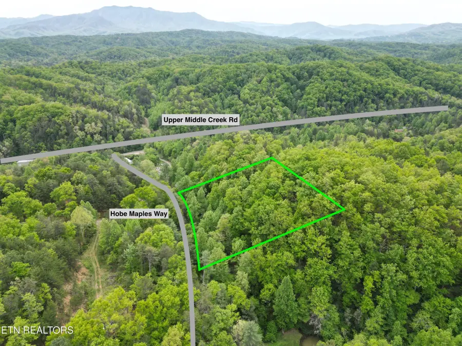 0 Hobe Maples Way, Sevierville, TN 37876 - #2