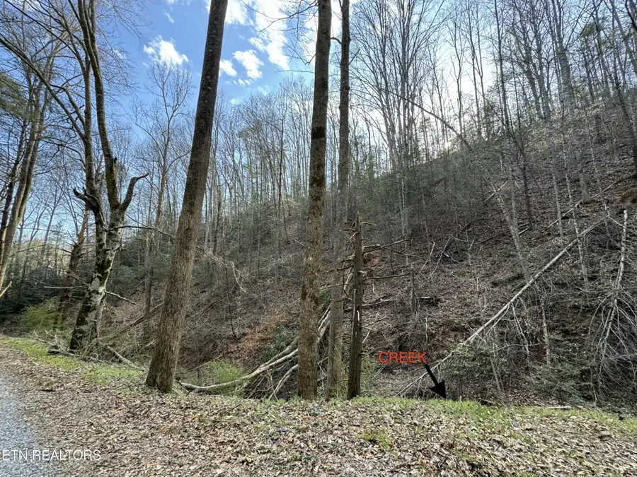 0 Hobe Maples Way, Sevierville, TN 37876 - #3
