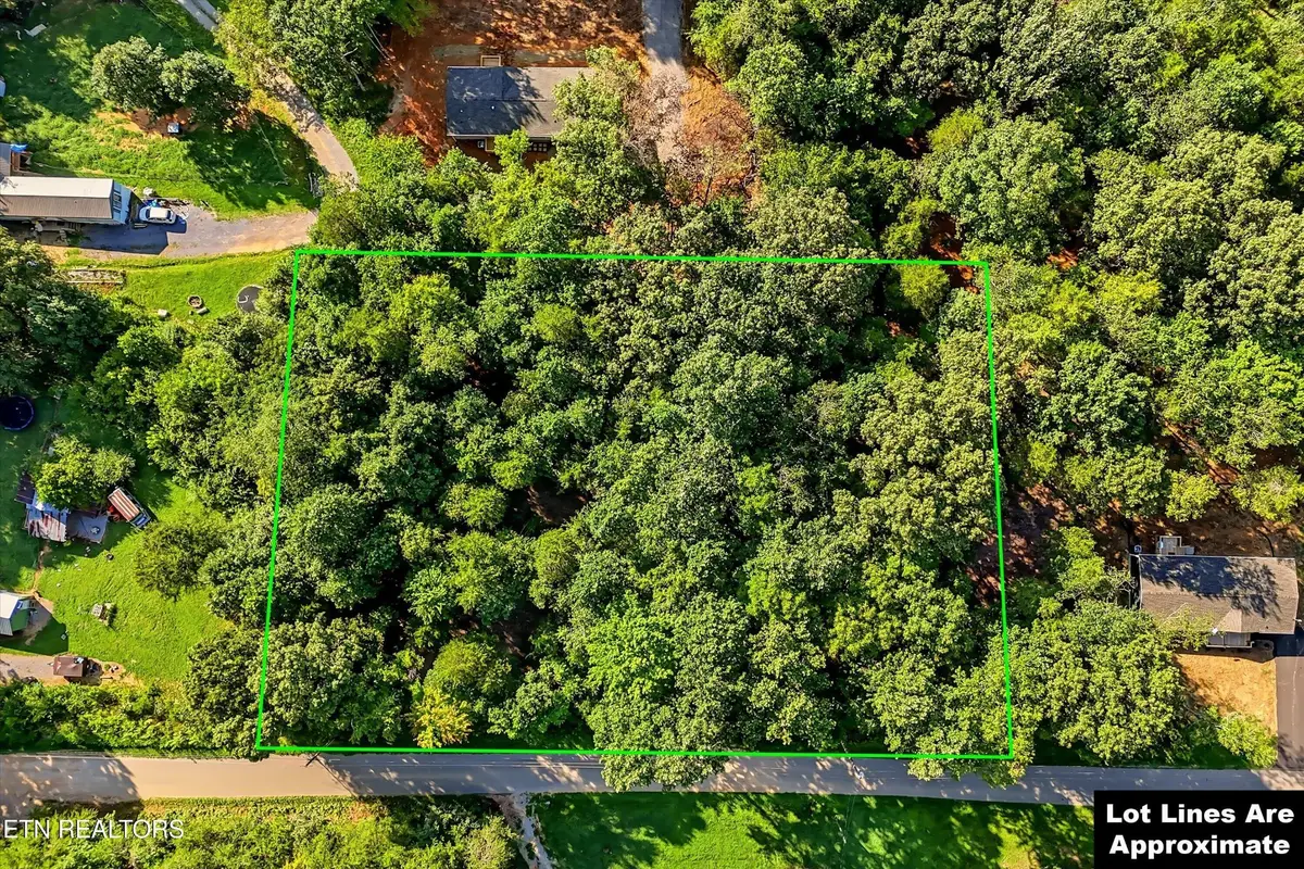 161 Pinecrest Drive, Loudon, TN 37774 - #1