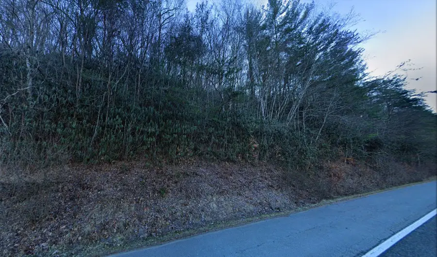 5540 Us 19e, Hampton, TN 37658 - #2