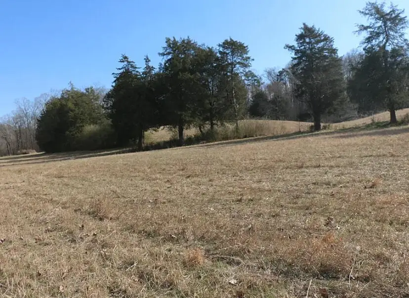 3083 Hwy 39 W, Athens, TN 37303 - #1
