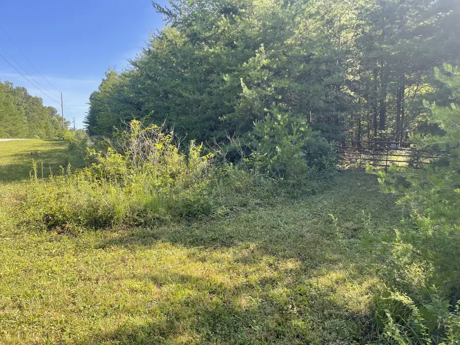 0 Turkey Track Rd, Altamont, TN 37301 - #3