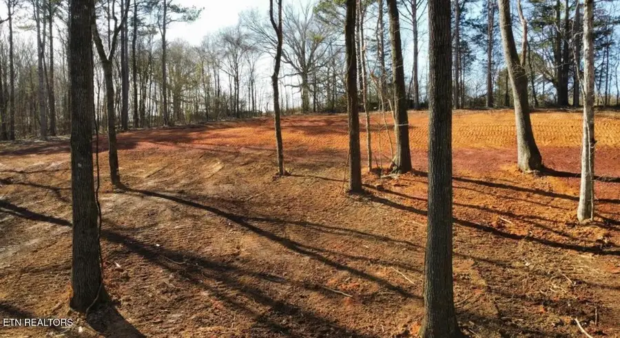 969 County Rd, Delano, TN 37325 - #3