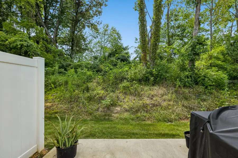 3019 Seguaro Ln, White House, TN 37188 - #2