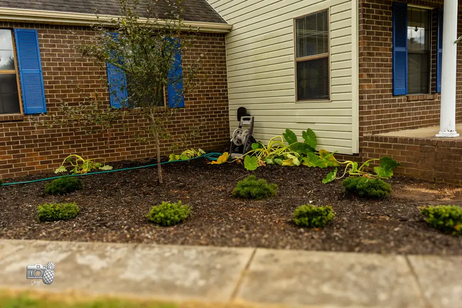 10028 Roanoke Dr, Murfreesboro, TN 37129 - #3