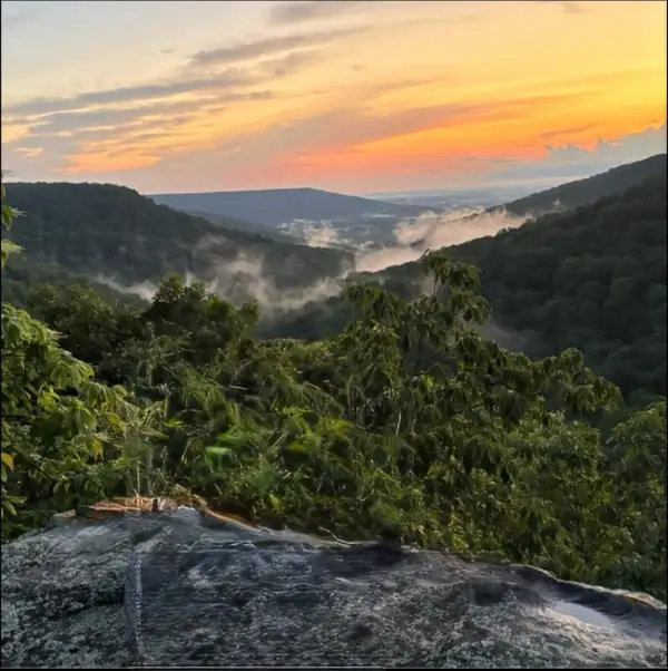 354 Little Trees Ramble, Monteagle, TN 37356