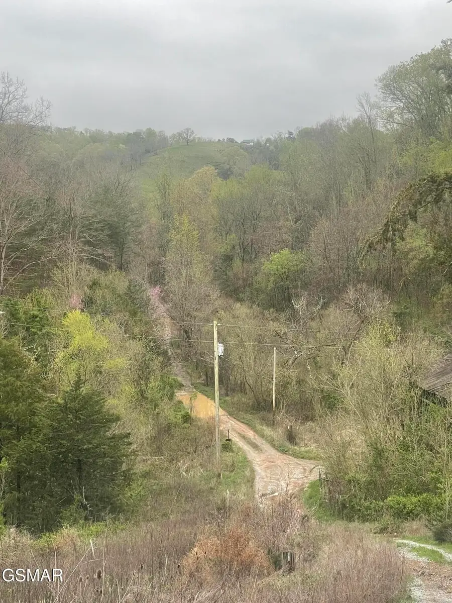 952 Stokes Valley Way, Parrottsville, TN 37843 - #3