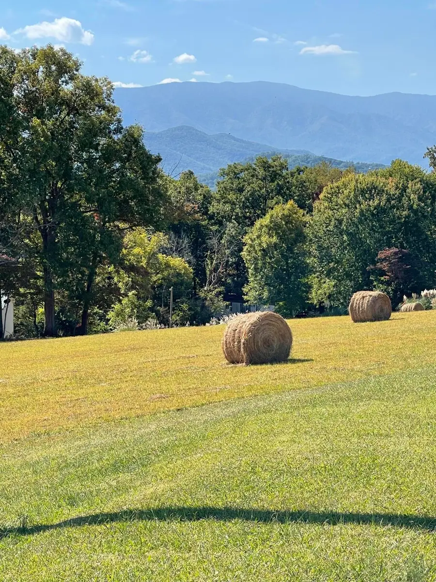 0 Robert E Lee, Newport, TN 37821 - #2