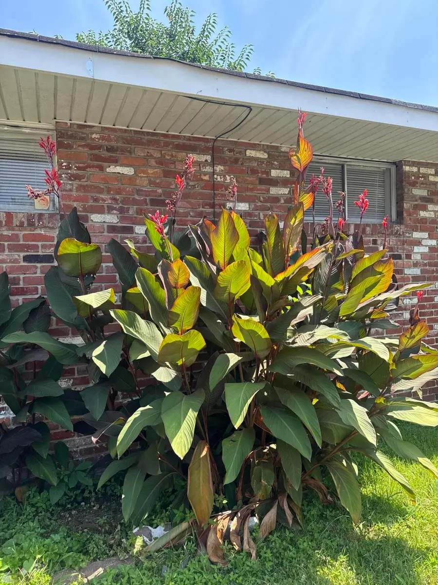 2001 Wilson Street, Chattanooga, TN 37406 - #3
