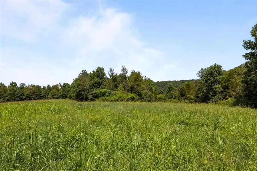 0 Hwy 230, Hurricane Mills, TN 37101 - #2