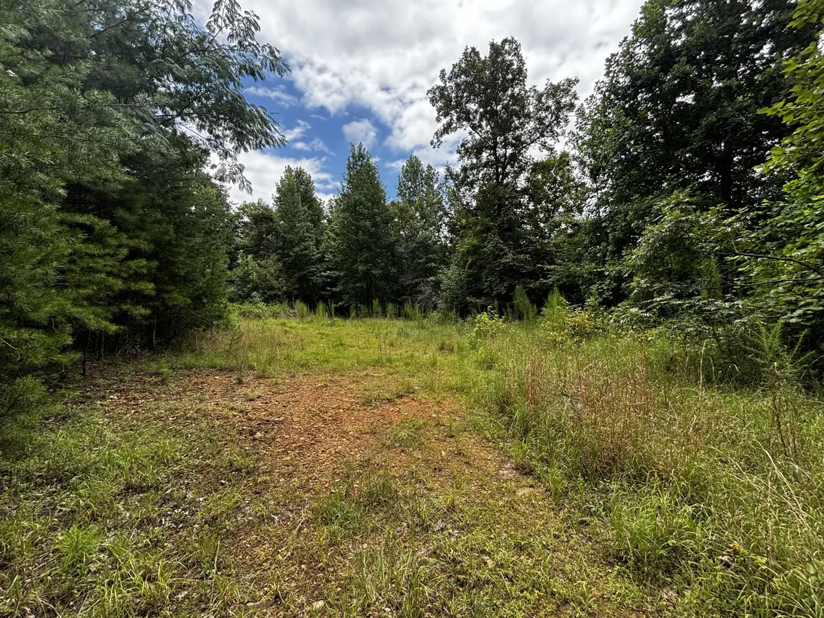0 Orme Mountain Road, South Pittsburg, TN 37380 - #1