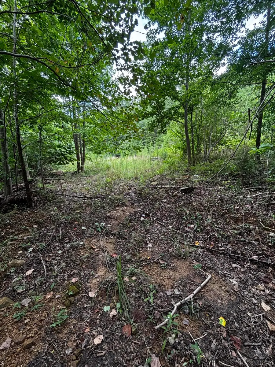 0 Orme Mountain Road, South Pittsburg, TN 37380 - #3