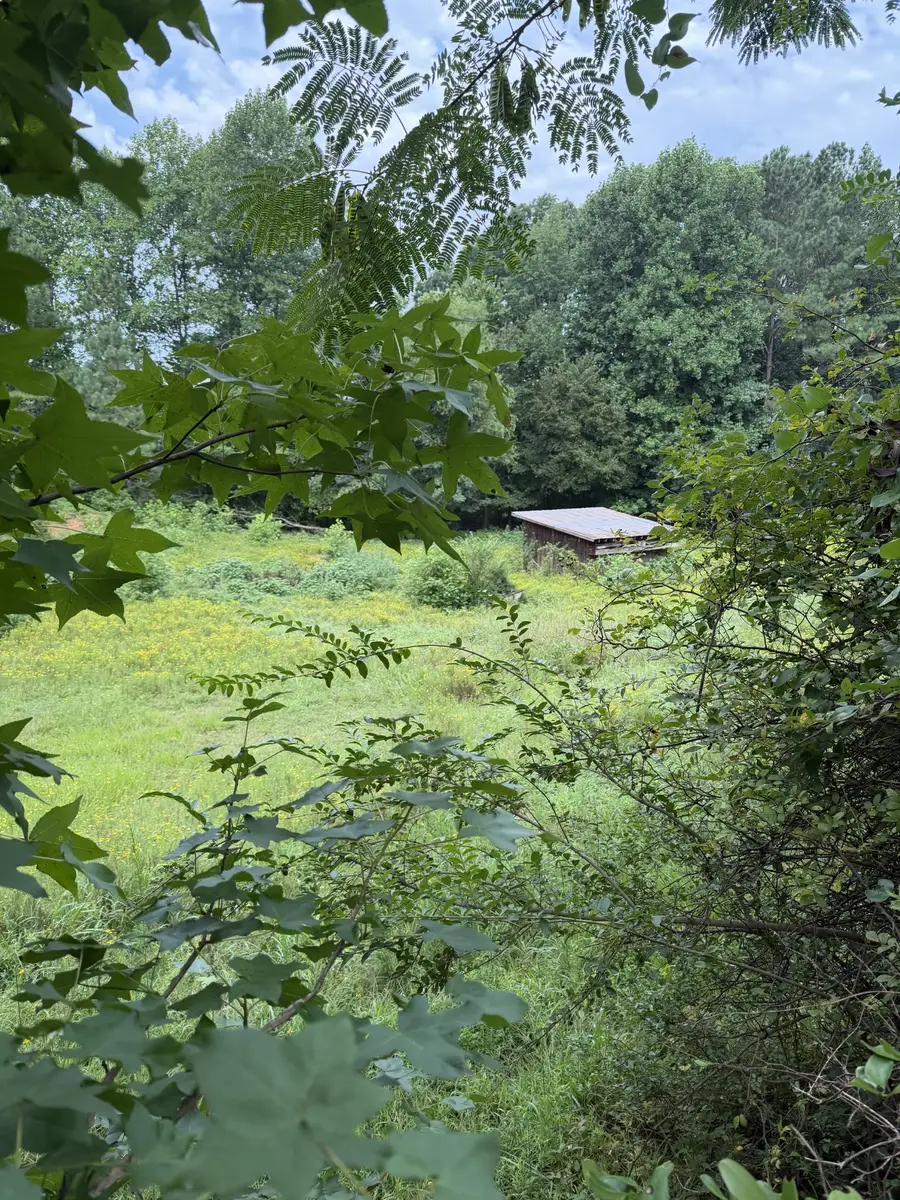 0 Crazy Doe Rd, Lexington, TN 38351 - #3