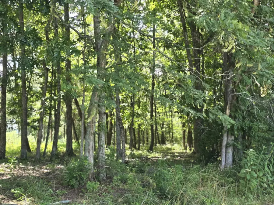 0 Nashville Hwy, Lewisburg, TN 37091 - #2