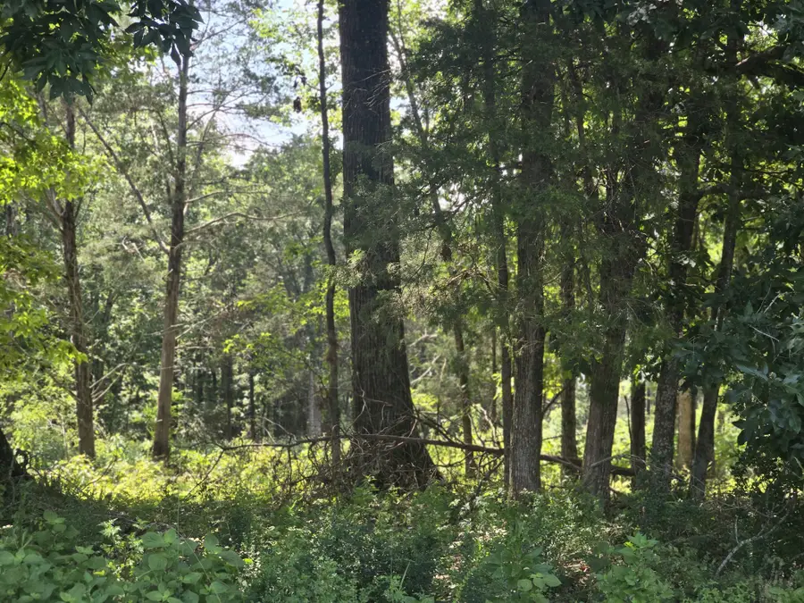 0 Nashville Hwy, Lewisburg, TN 37091 - #3