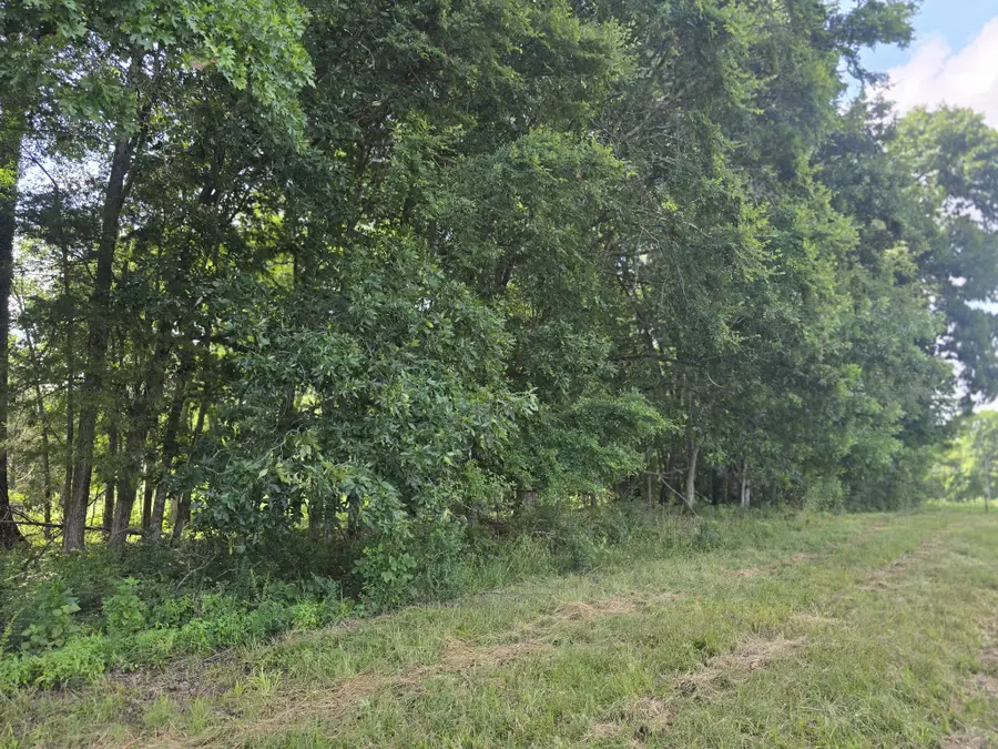 0 Nashville Hwy, Lewisburg, TN 37091 - #2