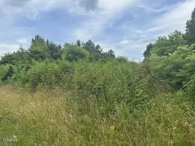 0 Saddleridge Drive, Speedwell, TN 37870 - #2