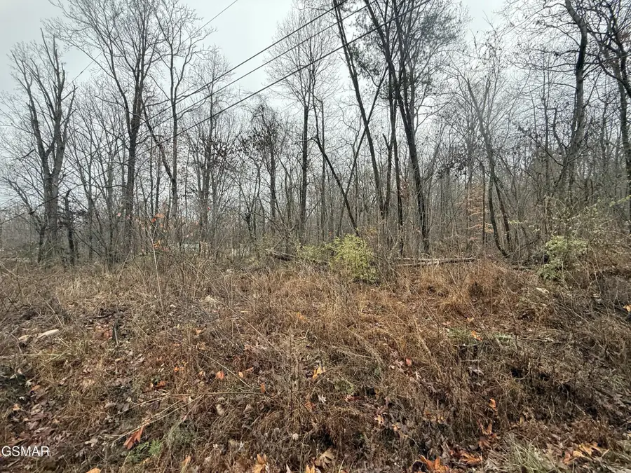 0 Collier Loop, Dandridge, TN 37725 - #2