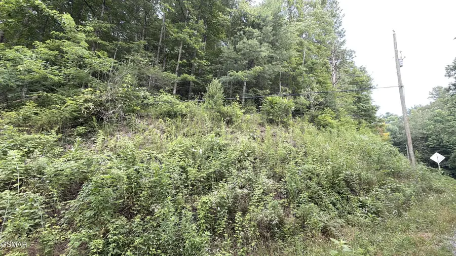 0 Gulf Road, Hartford, TN 37753 - #3