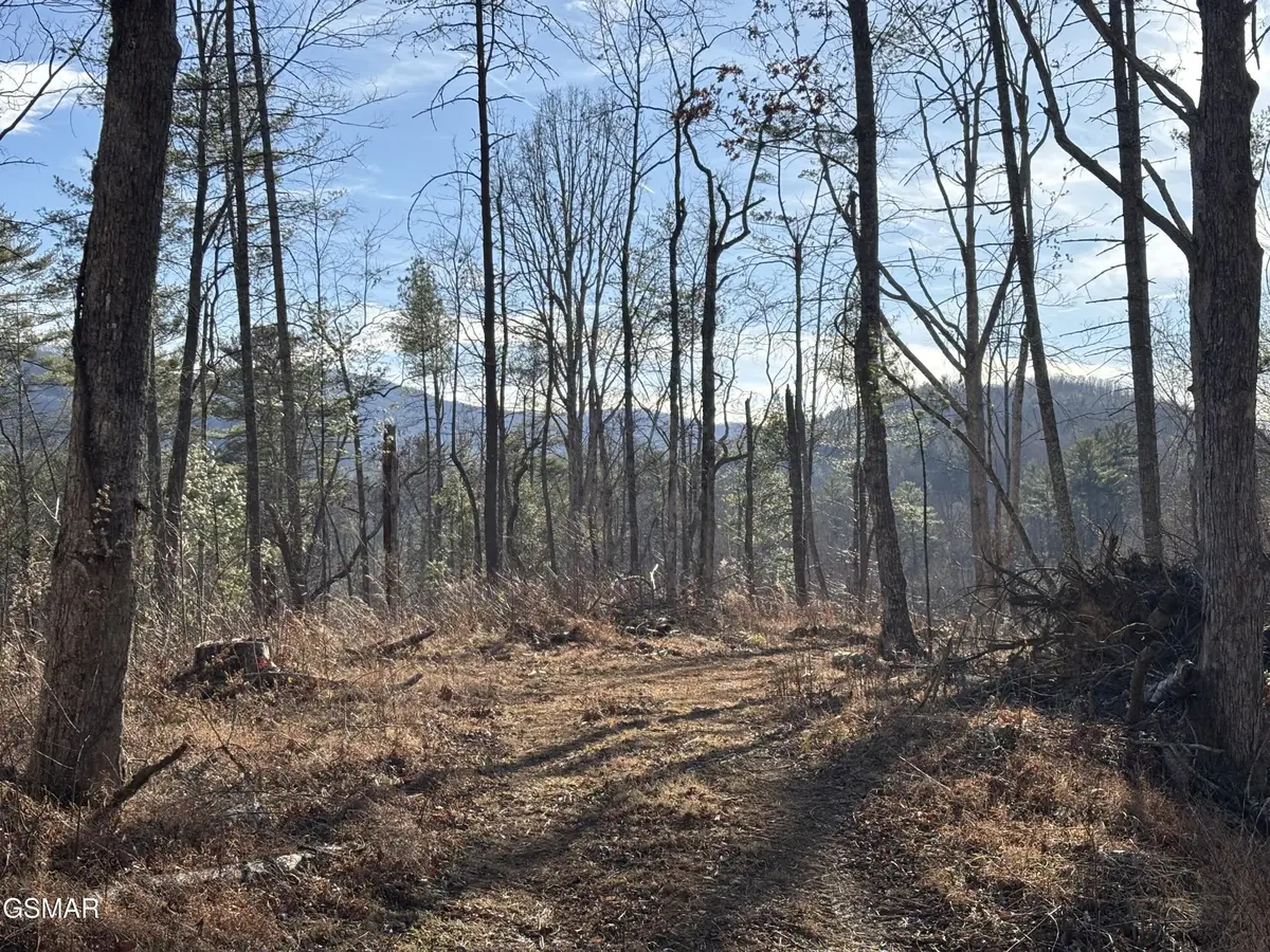 1 Bull Mountain Road, Del Rio, TN 37727 - #1