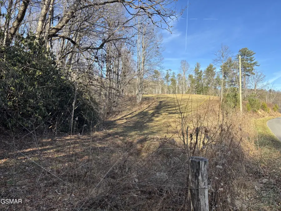 1 Bull Mountain Road, Del Rio, TN 37727 - #2