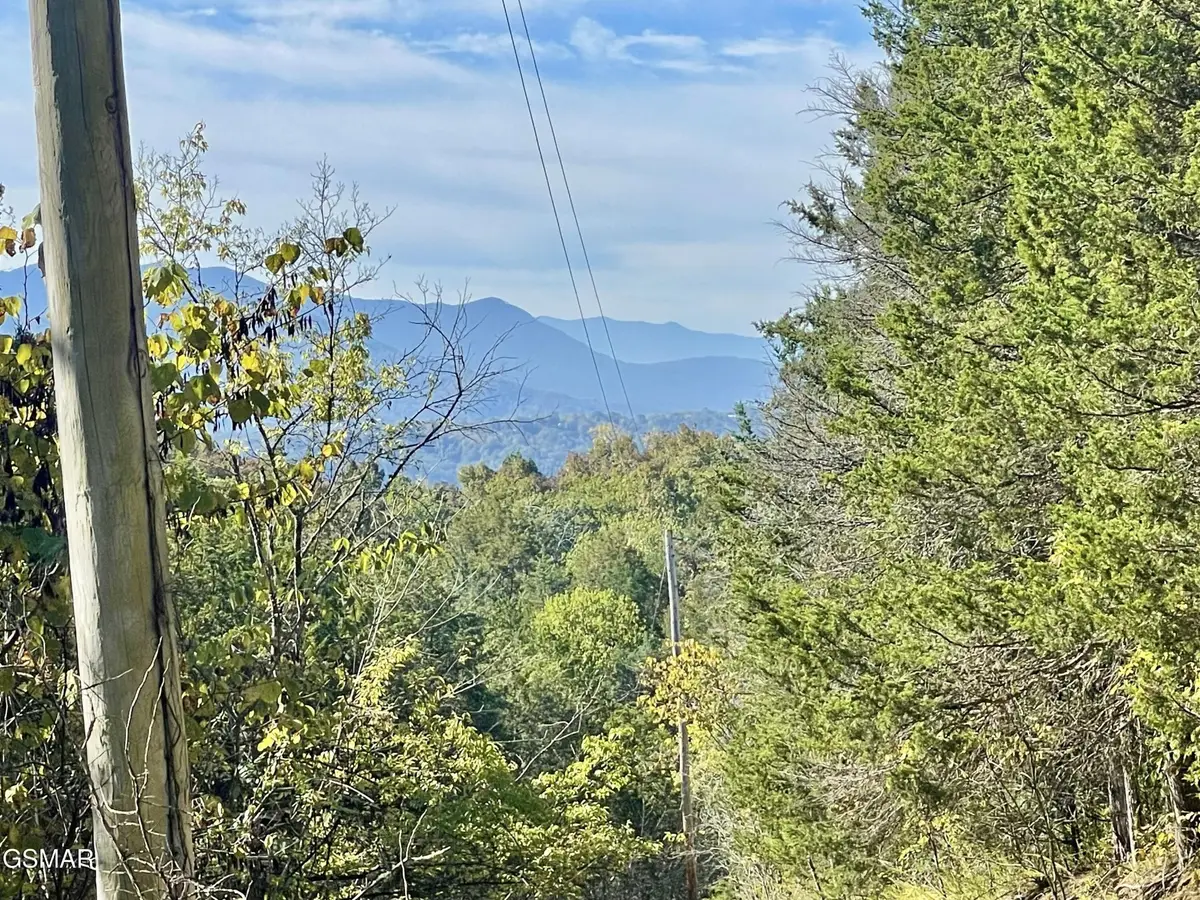 0 Thurman Road, Newport, TN 37821 - #1