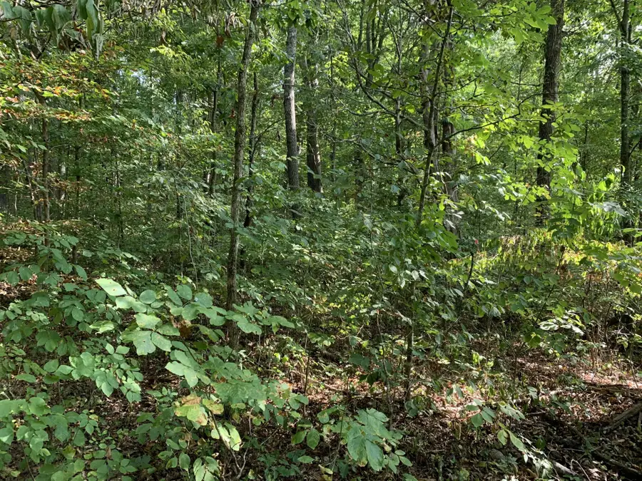 0 Glendale Road, Bybee, TN 37713 - #3