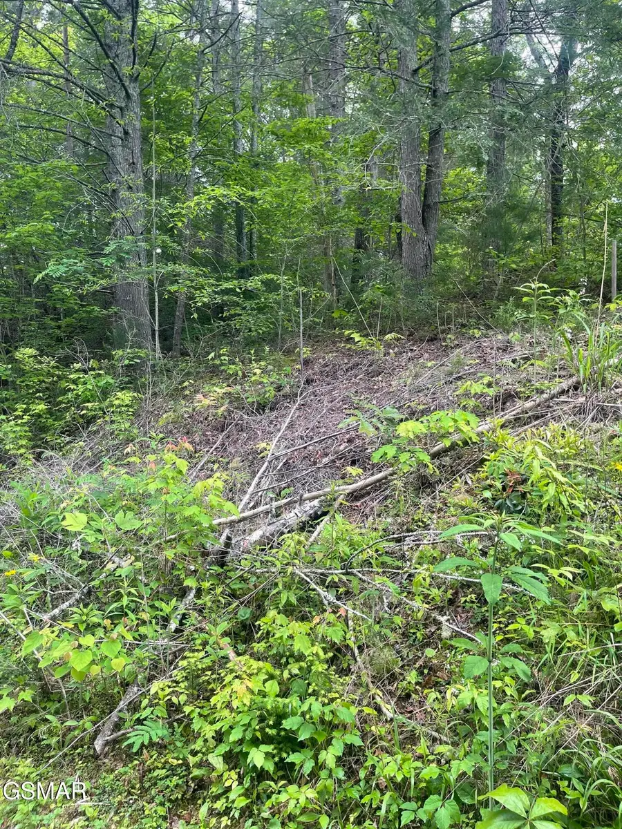 1115 Tranquility Hills Way, Cosby, TN 37722 - #2