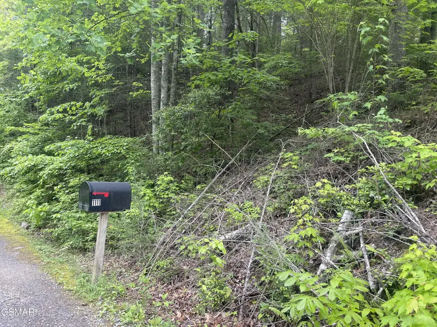 1115 Tranquility Hills Way, Cosby, TN 37722 - #3
