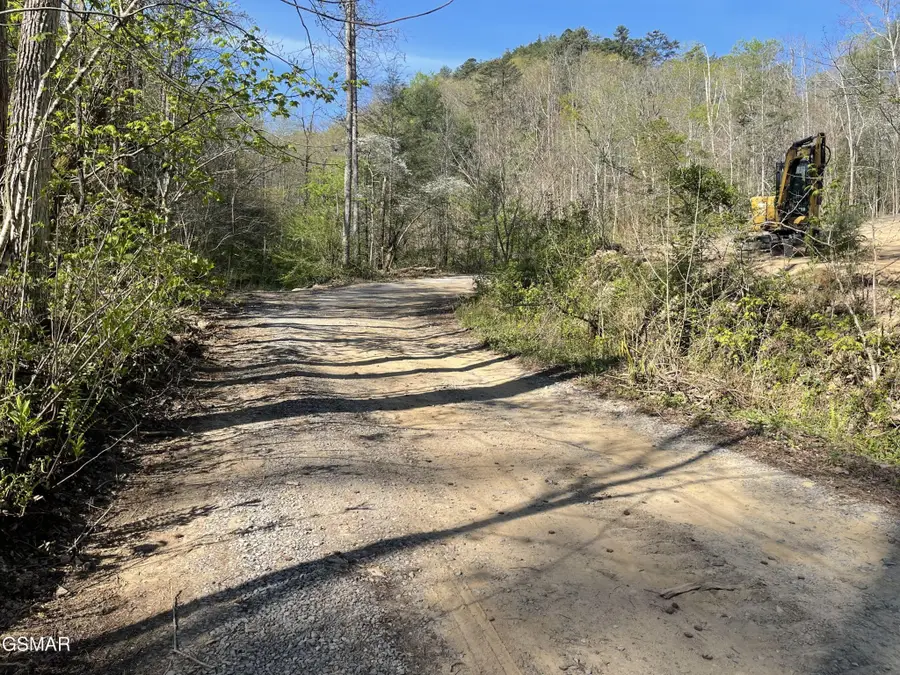1120 Yellow Springs Road, Cosby, TN 37722 - #3
