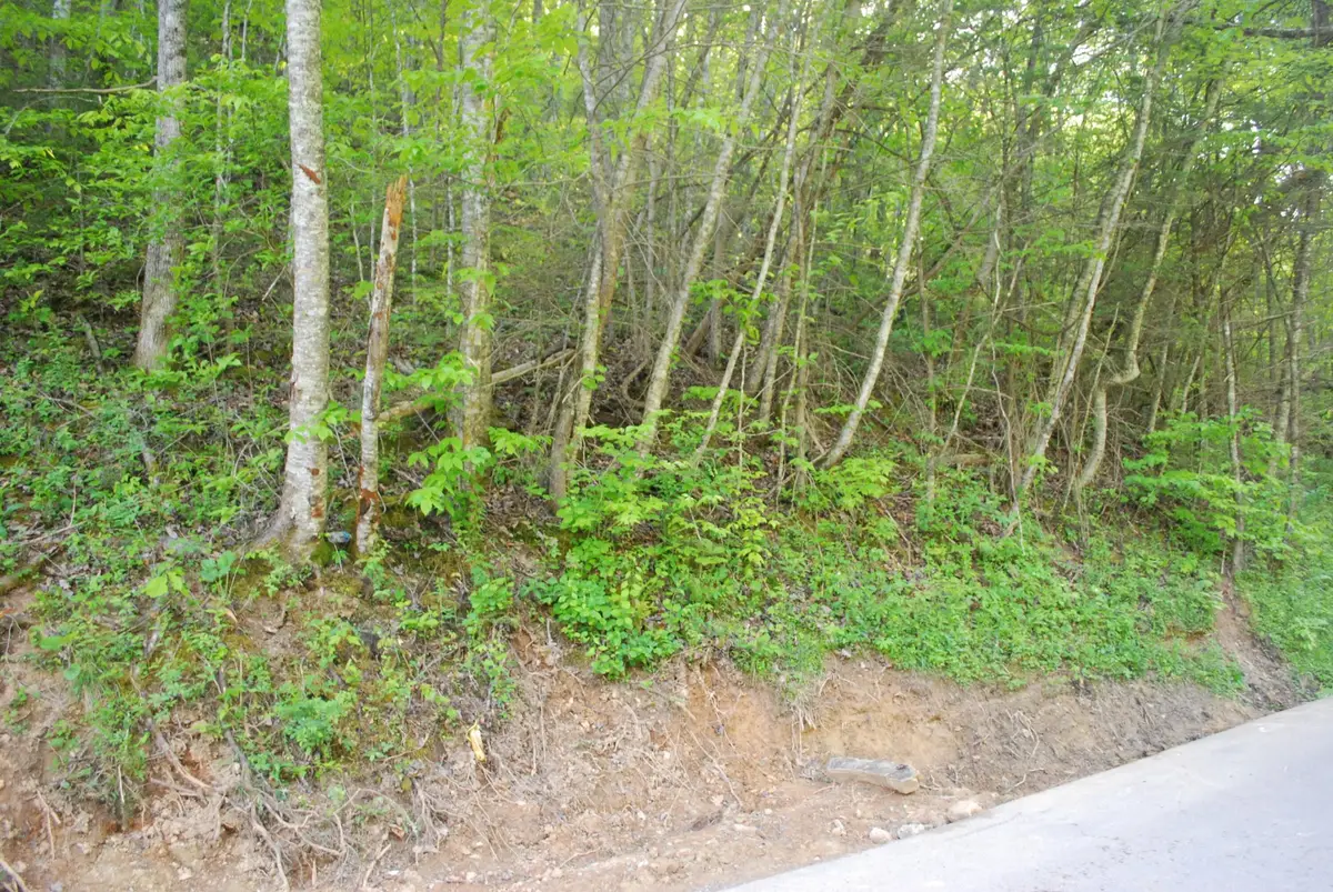 1132 Cole Lane, Gatlinburg, TN 37738 - #1