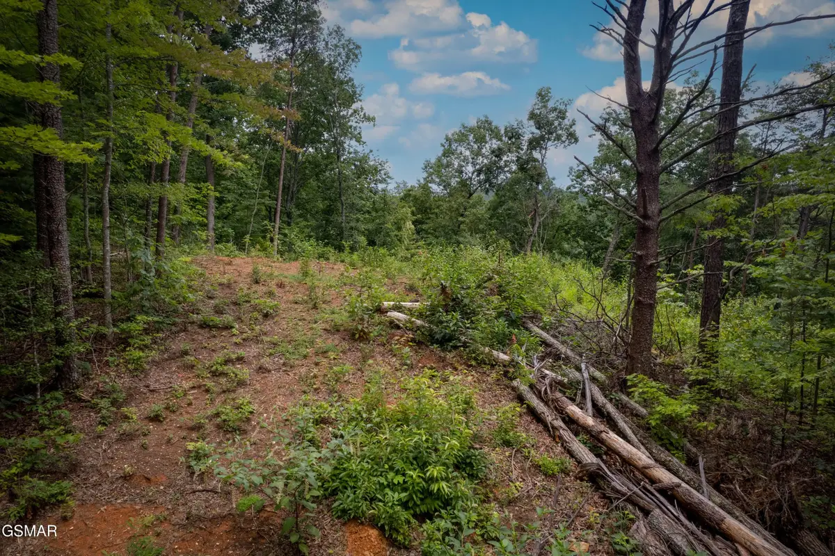 2 Verless Ogle Rd, Sevierville, TN 37876 - #1