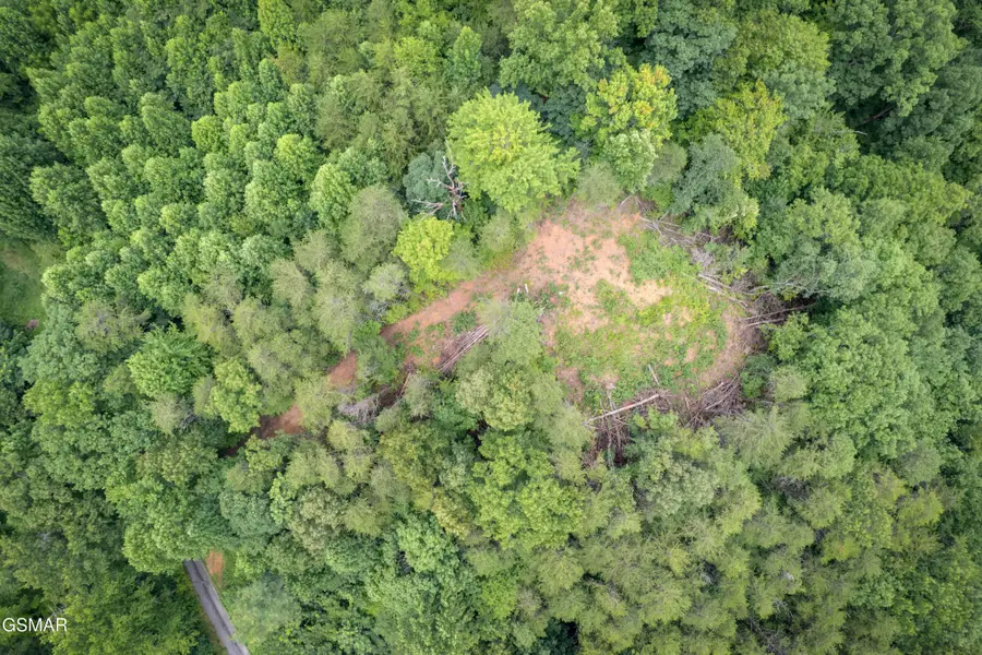 2 Verless Ogle Rd, Sevierville, TN 37876 - #2