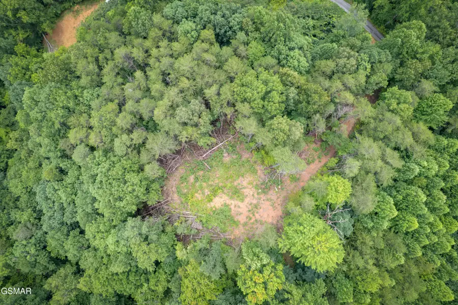 2 Verless Ogle Rd, Sevierville, TN 37876 - #3