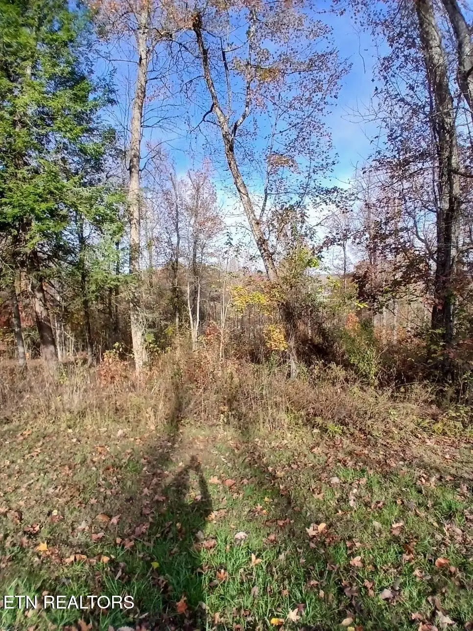 369 Walking Horse Tr, Rockwood, TN 37854 - #1