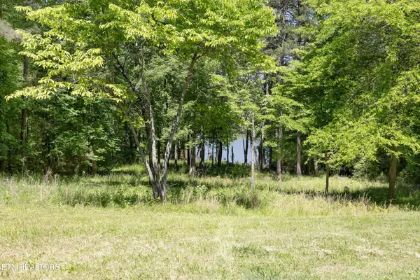 772 Wood Duck Drive, Vonore, TN 37885