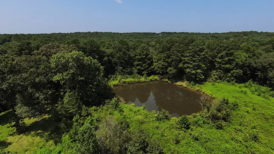 631 Jay Bird Ln, Palmersville, TN 38241 - #2