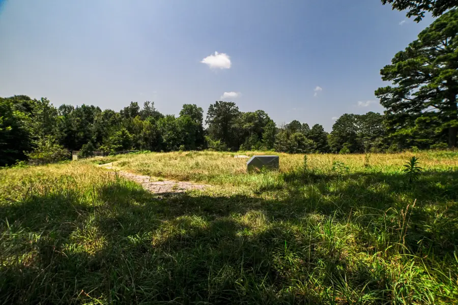 631 Jay Bird Ln, Palmersville, TN 38241 - #3