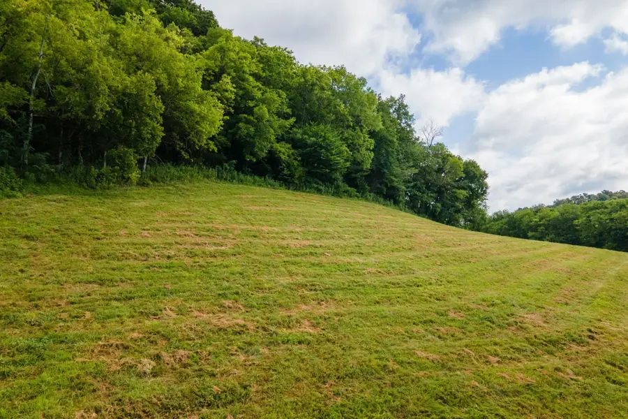 193 Dixon Ln, Pleasant Shade, TN 37145 - #3