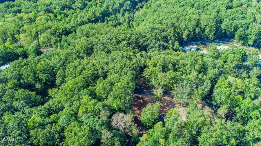 133 Huffman Way, Newport, TN 37821 - #2