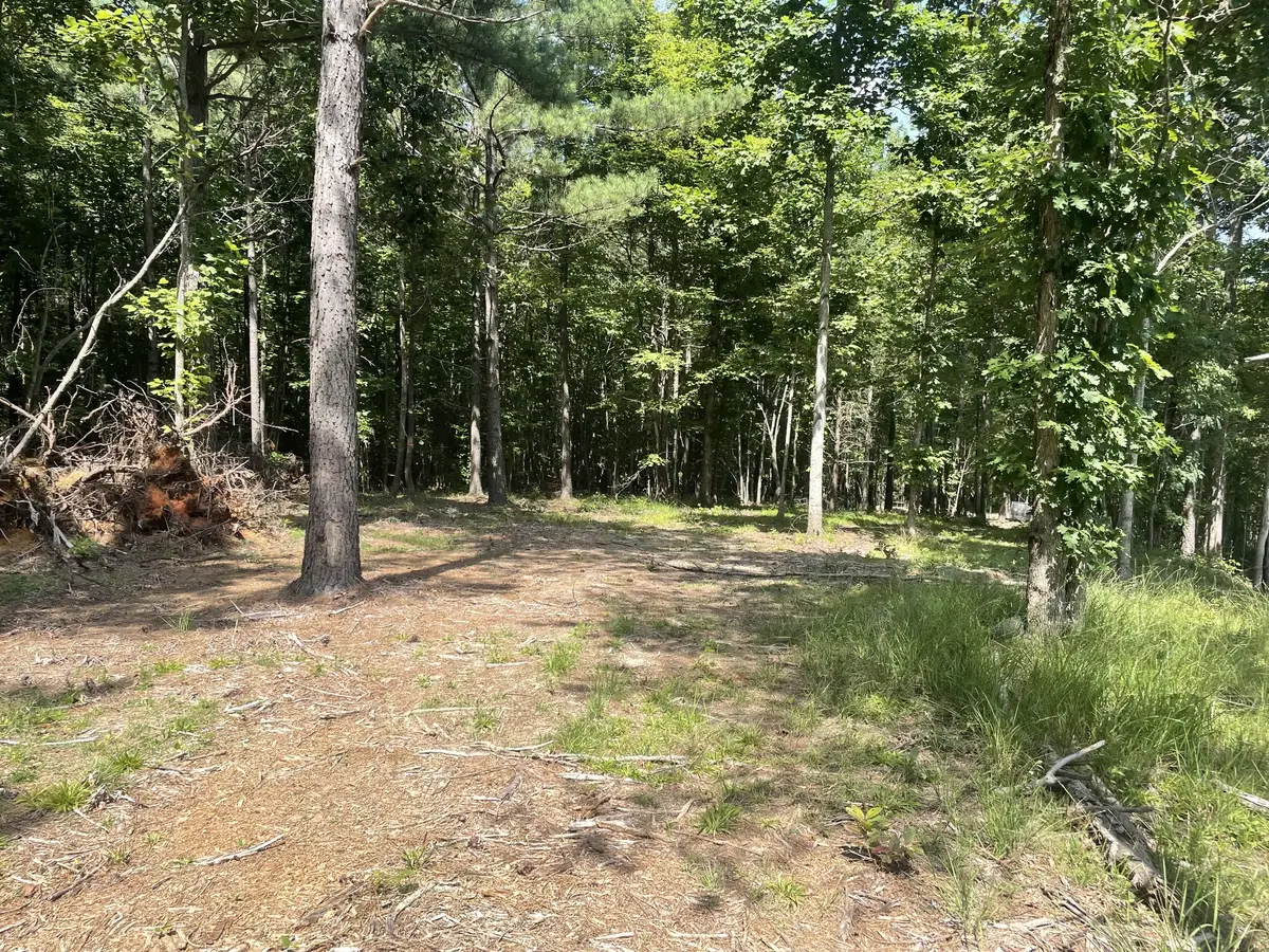 0 Tall Woods Ln, Spencer, TN 38585 - #1