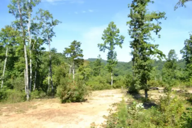 0 Rock Springs Rd, Celina, TN 38551 - #1