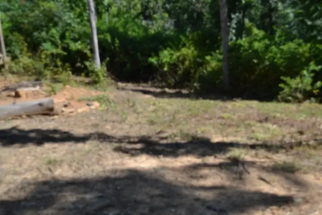 0 Rock Springs Rd, Celina, TN 38551 - #3