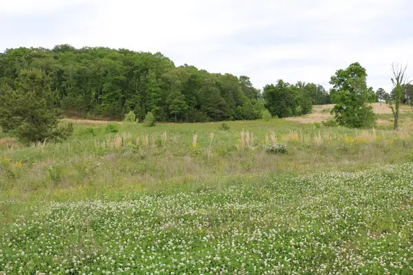 216 Lake Ferry Drive, Loudon, TN 37774