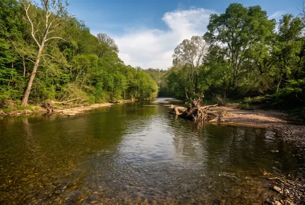 0 Lower Helton Rd, Liberty, TN 37095